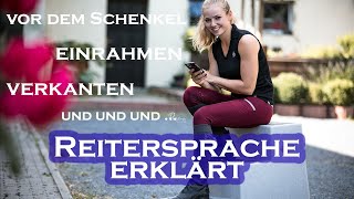 REITERSPRACHE Begriffe erklärt [upl. by Inami426]