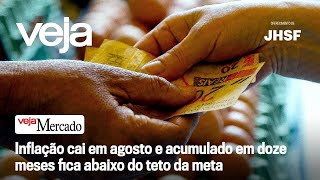 O indicador que vai na contramão do mercado e entrevista com Carla Beni [upl. by Yecnahc231]