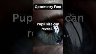 What your PUPIL SIZE can reveal [upl. by Gerianne68]