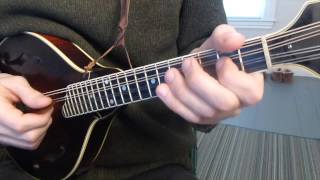 Cooleys Reel with Tabs  Mandolin Lesson [upl. by Selina773]