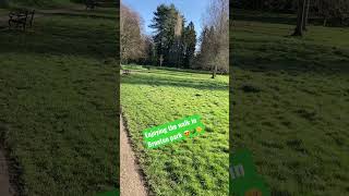 Enjoying the walk in Brueton park 🌳😍🌞 nature shortvideo shortsvideo shortsfeed shorts short [upl. by Bell]