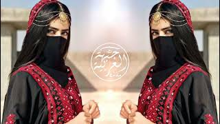 New Arabic remax song 2024TikTok trend song Arabic remax 4x4 music عربی ریمکس س [upl. by Leede]