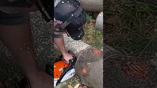 Fast stihl ms400 [upl. by Petulah333]