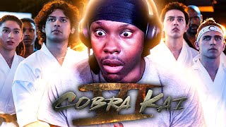 COBRA KAI SEASON 6 PART 2 TRAILER REACTION [upl. by Nylodam]