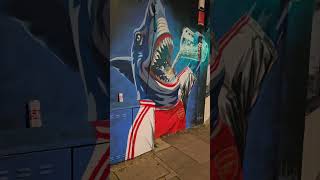 Arsenal Football Shark [upl. by Mintz]