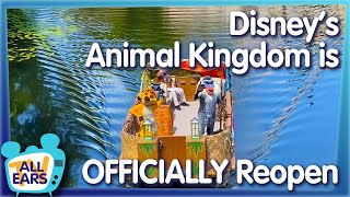 How is Disney’s Animal Kingdom Handling Reopening [upl. by Jacey]