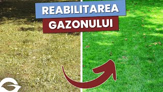 Reabilitarea gazonului Evoluția înainte și după  Informații complete [upl. by Sheilah]