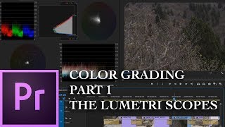 E38  Color Grading with Lumetri PART 1The Scopes  Adobe Premiere Pro CC 2018 [upl. by Mercer]