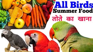 Parrots Summer foods  March to August diet plan for all birds  Summer foods Parrot foodKanhaiya [upl. by Juieta30]