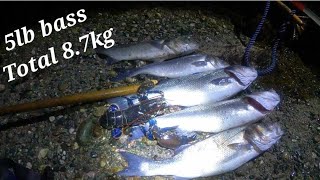 Coastal Foraging At Night On Big spring Tides [upl. by Melinde]