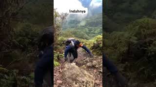 Burni telong reels fyp shorts gunung [upl. by Inalawi]