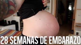 EMBARAZO MELLIZOS  28 semanas de embarazo VLOG  Mamá ingeniera [upl. by Eceertal]