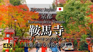 Kyoyo Japan quotKuramadera Templequot  Beautiful Autumn Leaves Season 4K [upl. by Rednas308]