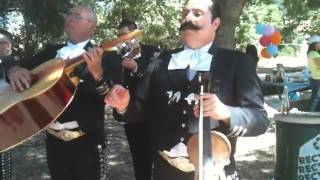 Mariachi Alma de Jalisco  Vida Prestadamov [upl. by Melcher2]