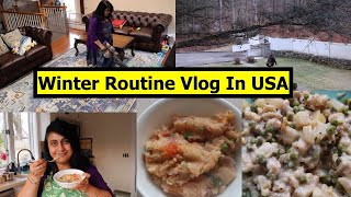 630 am To 230 pm Winter Routine Vlog In America  Full Day Menu Simple Living Wise Thinking [upl. by Sophia]