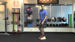 Eccentric squat for patellar tendinosis  tendinitis [upl. by Myra]