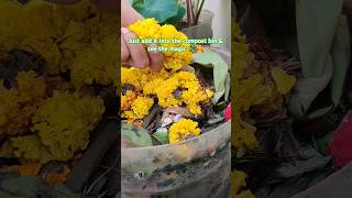 Making compost from the flowers used during Diwali♻️ composting shorts plant ytshorts gardening [upl. by Anoblav]