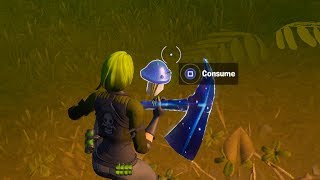 Consume Foraged Items Locations Guide – Fortnite Chapter 2 Hide and Seek Challenge [upl. by Sikras]