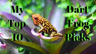 My Top 10 Favorite Dart Frogs [upl. by Lissa]