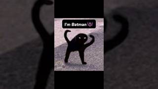 Im Batman 🦇 cat edit meme capcut [upl. by Kennan]