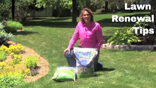 Lawn Renewal Tips [upl. by Okikuy]