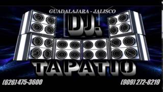 DJ TAPATIO  VICENTE FERNANDEZ mix Buenas pal baile wwwdjtapatiocom [upl. by Ymeraj78]