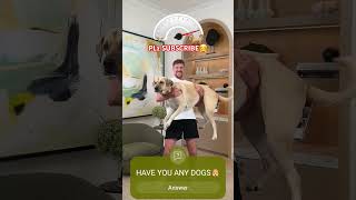 Holding Big and Big Dog🐶mrbeast shorts viralvideo [upl. by Sidon]