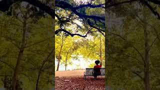 Lady Bird Lake enjoying the day [upl. by Nurse325]