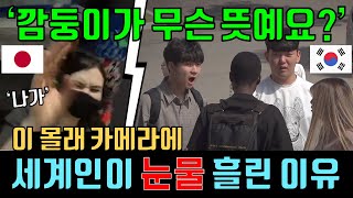 이 영상에 세계인들이 감동한 이유 사회실험 실험카메라 감동영상 해외반응 [upl. by Hathcock]