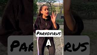 Process of Parvo In Dogs Parvovirus procedure explained shorts rottweiler namitaology [upl. by Seidler]