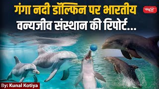 Ganga River Dolphin  Wildlife Institute of India report on Ganga River Dolphin  Daily Current News [upl. by Afesoj]