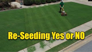 Reseeding Lawns  Does and Donts [upl. by Knute]