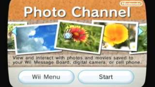 Dazzle Test Recording of Wii Menu [upl. by Vershen]