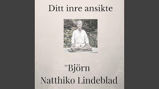 Ditt inre ansikte [upl. by Hadeis]