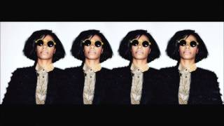 Santigold  Disparate Youth The 2 Bears Remix [upl. by Shel]