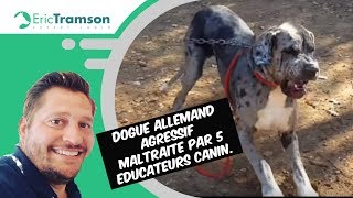 DOG ALLEMAND MAL EDUQUE ET DRESSER AVEC VIOLENCE PAR DES EDUCATEURS CANINS [upl. by Aggappora909]