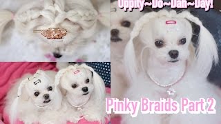 STYLING Pinkys Piggy Braids Part2 Maltese Braided UPDO Piano Cover BTS BAngtanBoys 좋아요 I LIKE IT [upl. by Latsyrhk981]