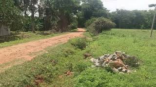 Red soil 1 acre 13 gunta land for sale in gundlupet 8618143750 total 25 lacks [upl. by Otto]