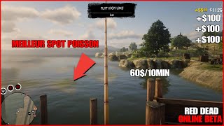 MEILLEUR SPOT POISSON 6010MIN  RED DEAD ONLINE [upl. by Nirda]