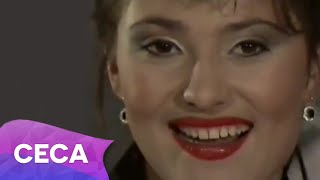 Ceca  Sve u svoje vreme  Official Video 1990 [upl. by Feinstein]