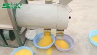 6FWSH Maize milling machine [upl. by Spillar]