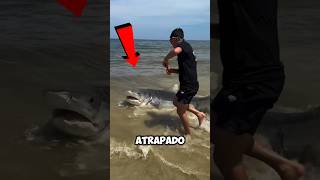 Rescate Conmovedor Salvando a un Tiburón Atrapado 🌊🦈❤️ shortvideo shortsfeed shorts trending [upl. by Ahsilahk]