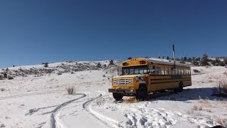 Converted School Bus In The Colorado Wilderness [upl. by Ddarb]