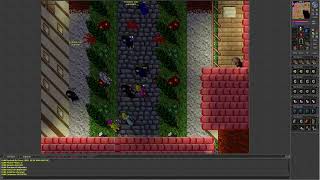 Tibia 73 Aurea War between Valiants and other guilds 60 Royal Paladin pov Many frags [upl. by Anaig]