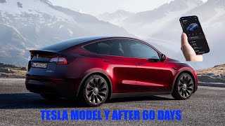 60 DAY HONEST TESLA MODEL Y REVIEW [upl. by Pritchett]