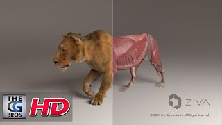 CGI amp VFX Tech Demos quotZeke The Lionquot  by ZIVA VFX  TheCGBros [upl. by Carrol]