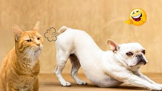 The Funniest Animal Videos of 2024 😂 Funny Cats and Dogs That Will Make You Cant Stop Laughing😻🐶 ✨ [upl. by Cheria]