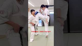 NidoGeri  Ashibarai  Jodan Hizageri Sweep  High Knee Kick fullcontactkarate 大谷道場 kyokushin [upl. by Kellen768]