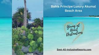 Bahia Principe Luxury Akumal Beach Area [upl. by O'Neill17]