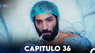 Madre Capitulo 36 Doblado en Español FULL HD [upl. by Corabelle]